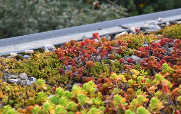 the cost of Ragnal green roof installation