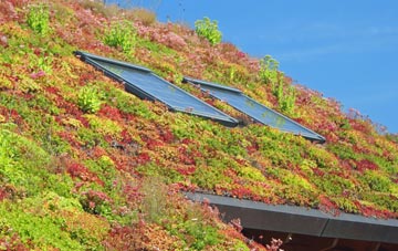 Ragnal living roof systems